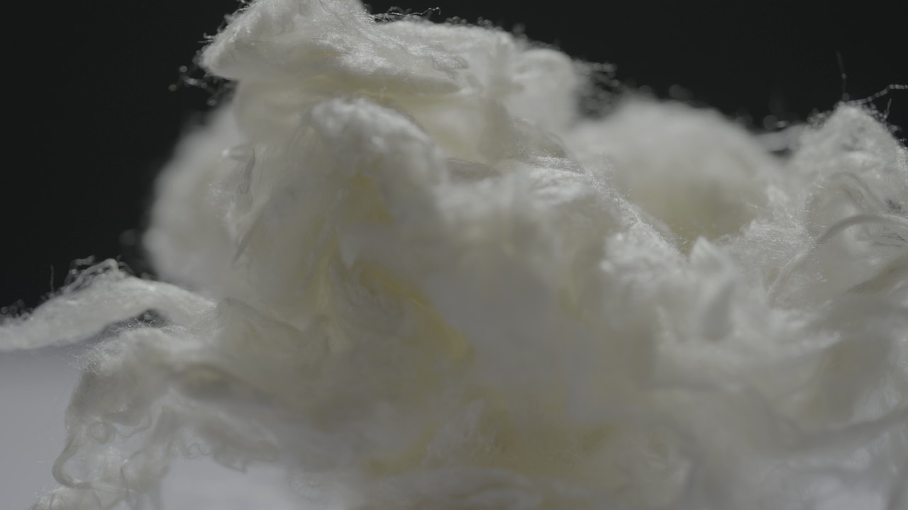 利来集团官网(W66)最给力的老牌