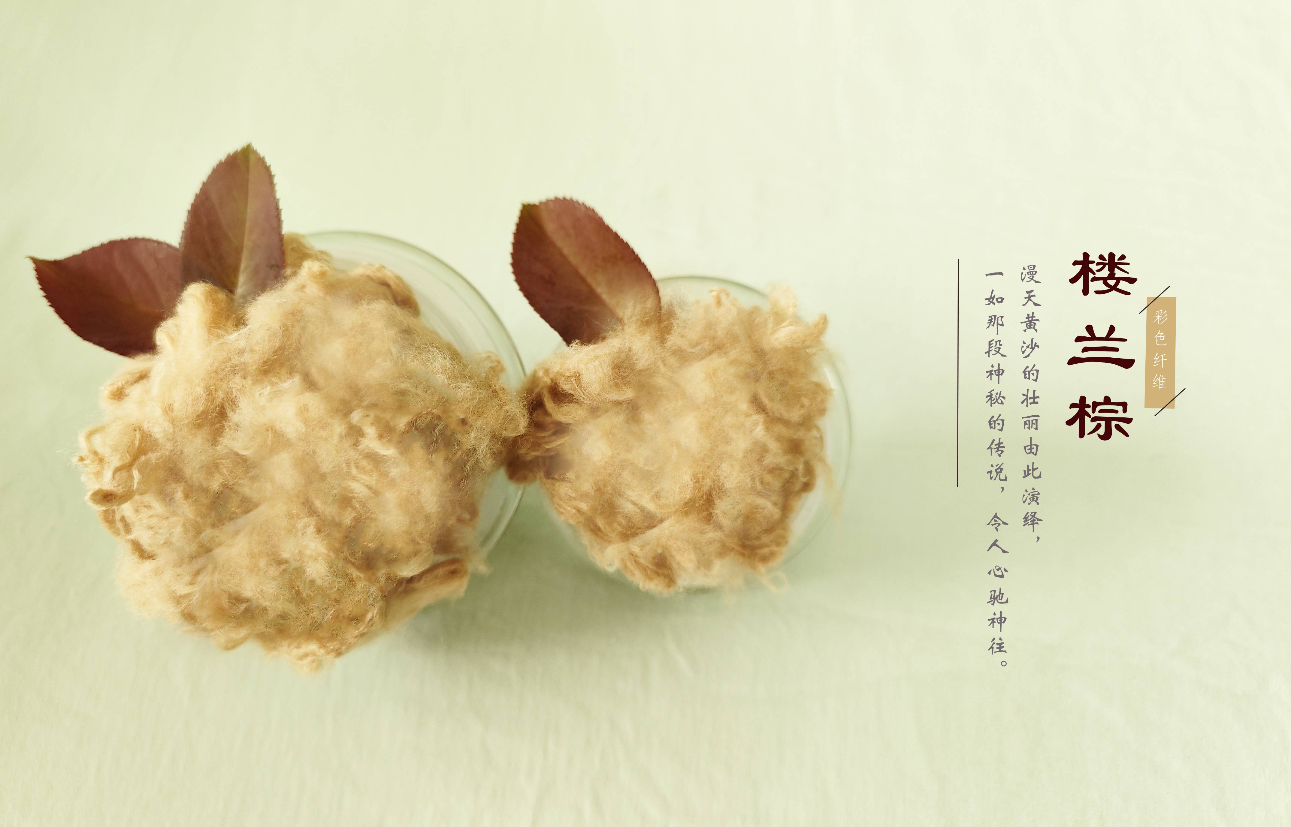 利来集团官网(W66)最给力的老牌