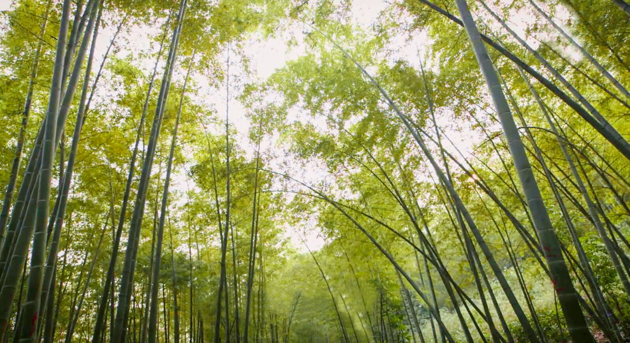 利来集团官网(W66)最给力的老牌